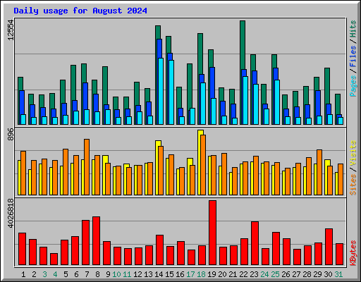 Daily usage for August 2024