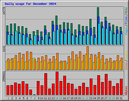 Daily usage for December 2024