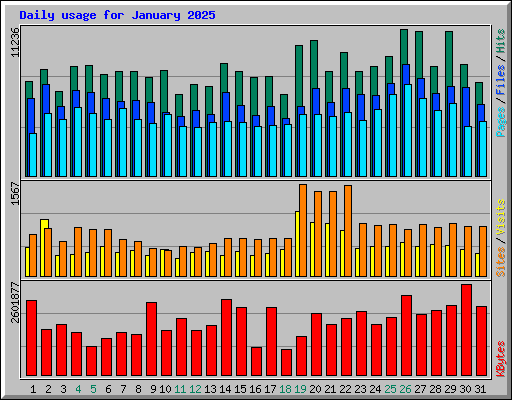 Daily usage for January 2025