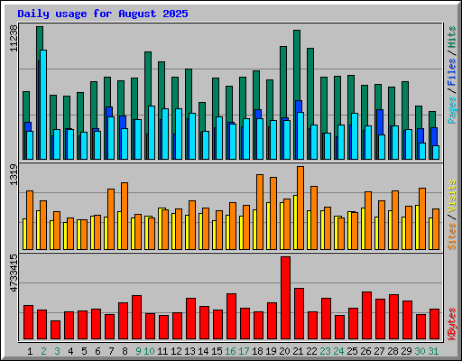 Daily usage for August 2025