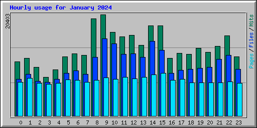 Hourly usage for January 2024