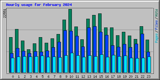 Hourly usage for February 2024