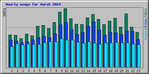 Hourly usage for March 2024