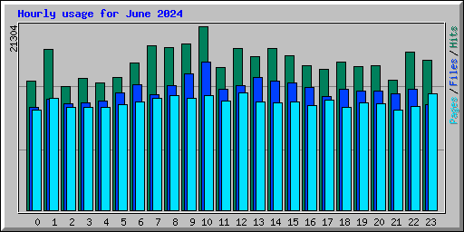 Hourly usage for June 2024