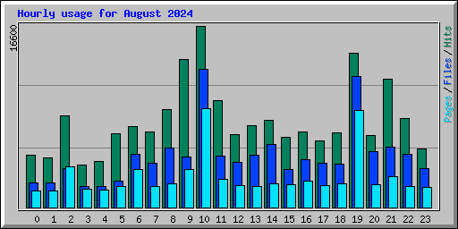 Hourly usage for August 2024