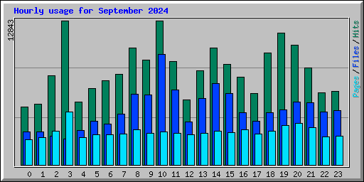 Hourly usage for September 2024