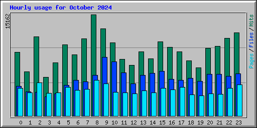 Hourly usage for October 2024