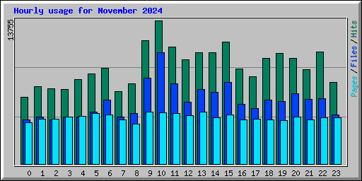 Hourly usage for November 2024