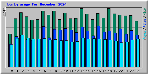 Hourly usage for December 2024