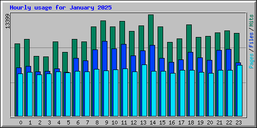 Hourly usage for January 2025