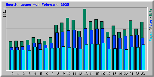 Hourly usage for February 2025