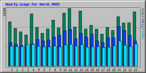 Hourly usage for March 2025