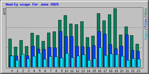 Hourly usage for June 2025