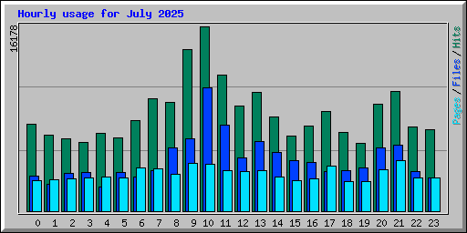 Hourly usage for July 2025