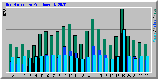 Hourly usage for August 2025