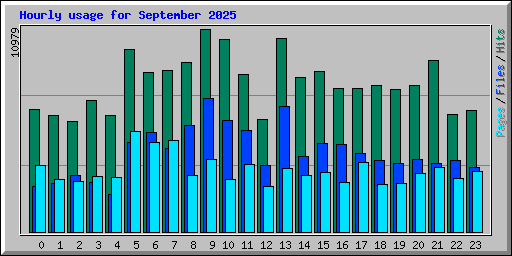 Hourly usage for September 2025