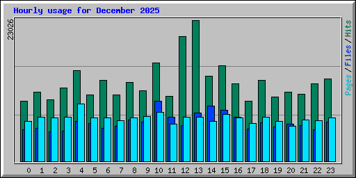 Hourly usage for December 2025