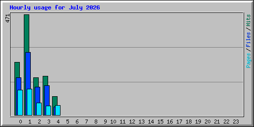 Hourly usage for July 2026