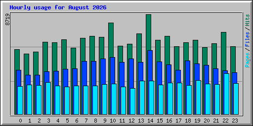 Hourly usage for August 2026